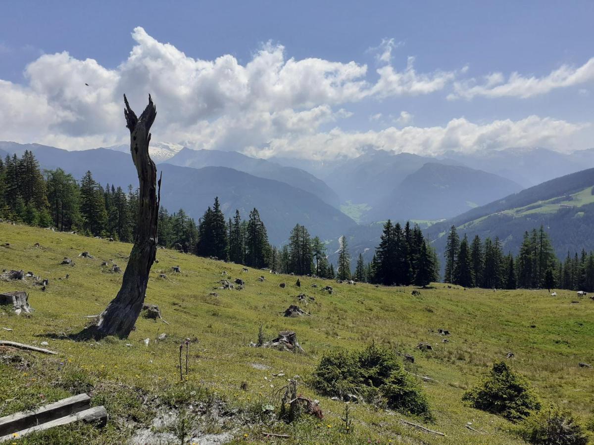 Apartment Serlesblick Ellbögen Dış mekan fotoğraf